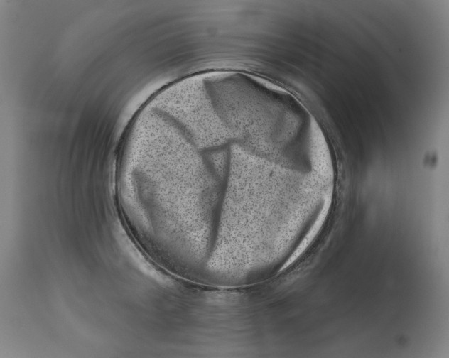 X0000113000804200909171405