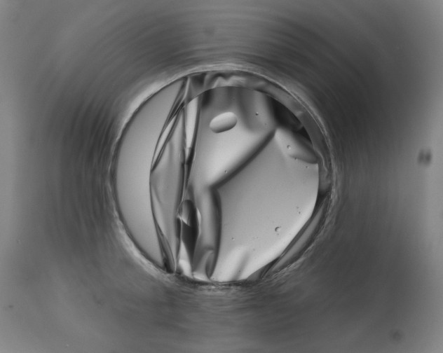 X0000113000805200909171405