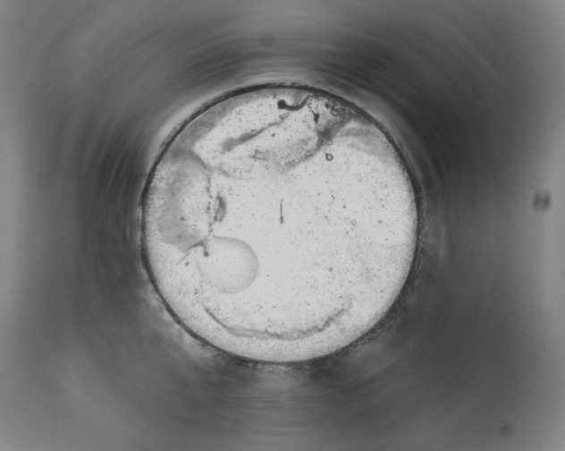 X0000113000807200909171405