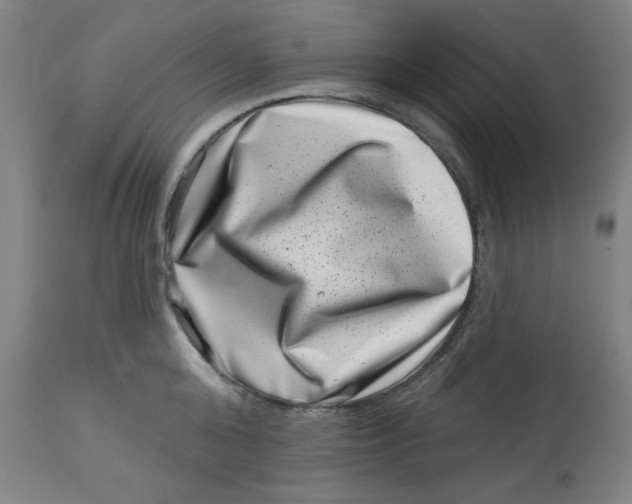 X0000113000808200909171405