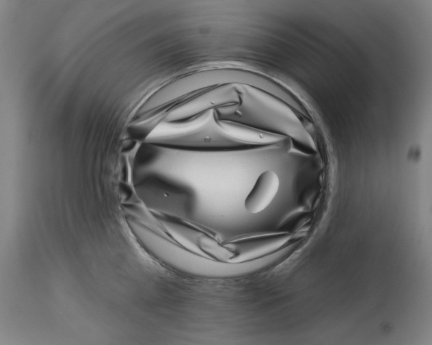 X0000113000809200909171405