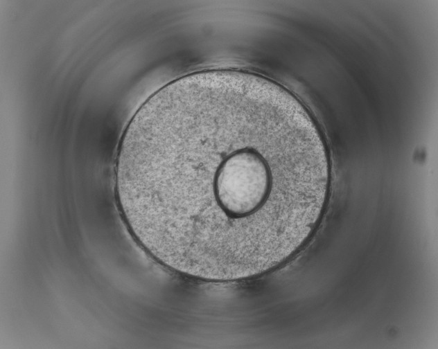 X0000113000810200909171405