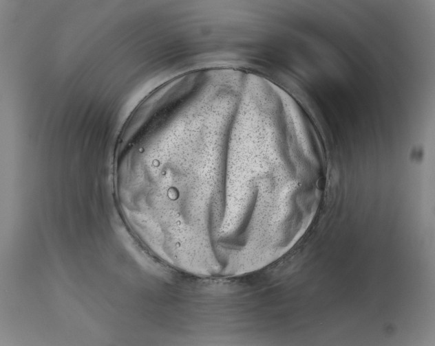 X0000113000811200909171405