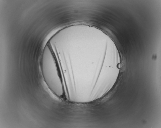 X0000113000812200909171405