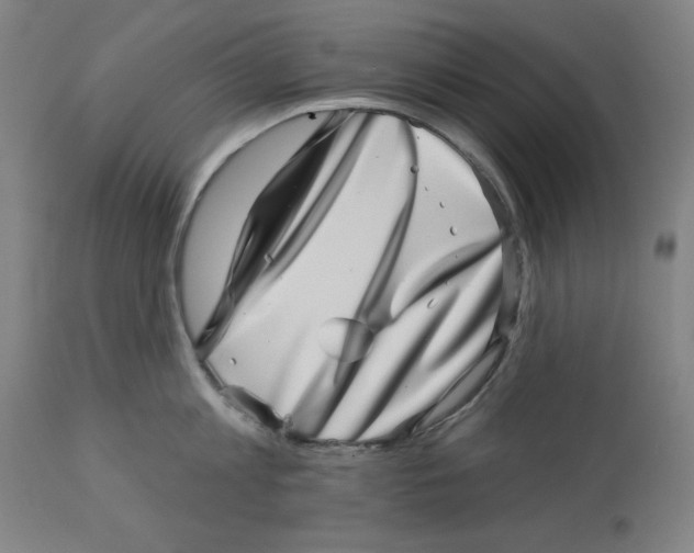 X0000113000813200909171405