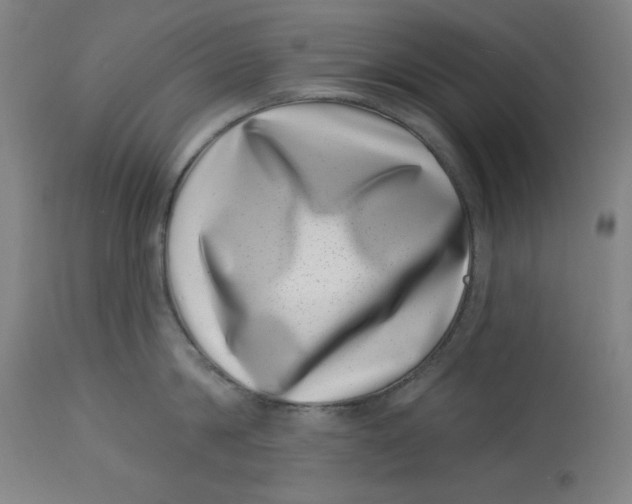 X0000113000814200909171405