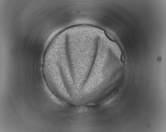 X0000113000815200909171405