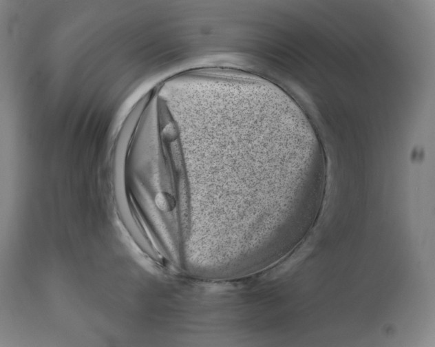 X0000113000816200909171405