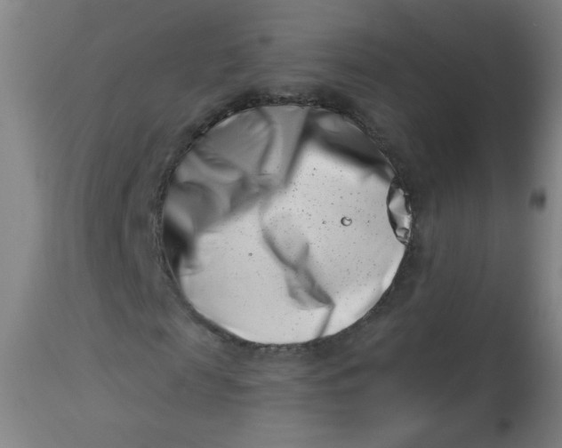 X0000113000817200909171404