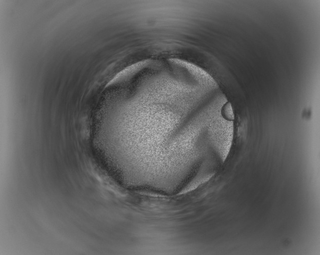 X0000113000819200909171404