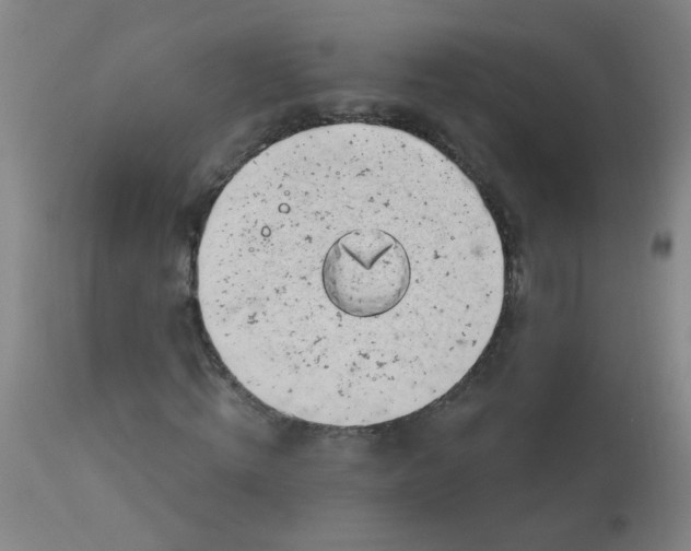 X0000113000820200909171404