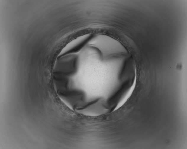 X0000113000821200909171404