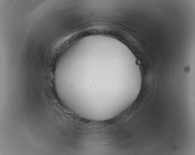 X0000113000822200909171404