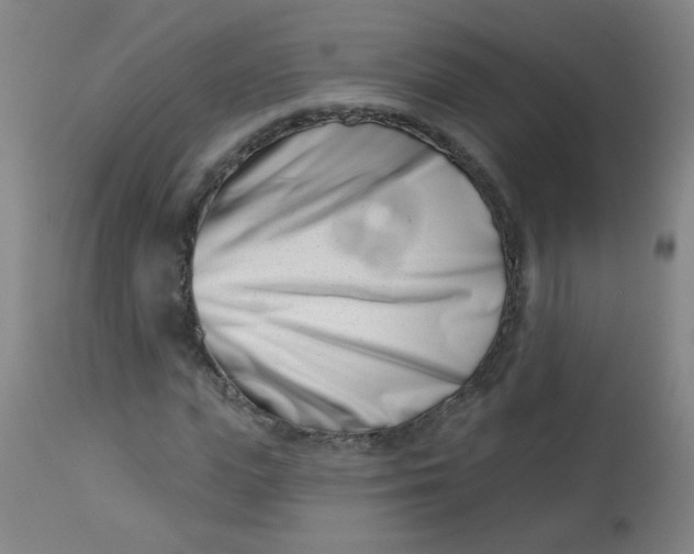 X0000113000823200909171404