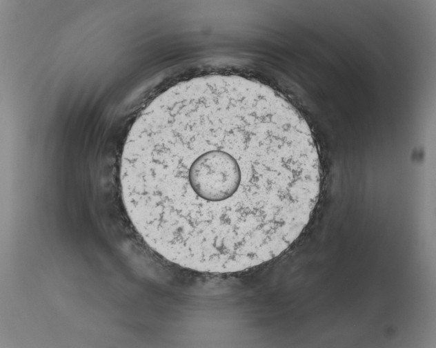 X0000113000824200909171404