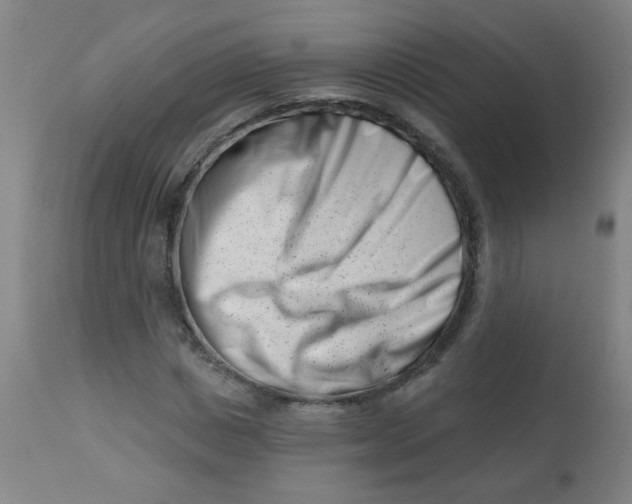 X0000113000825200909171404