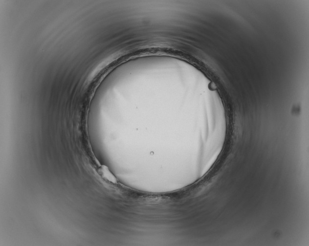 X0000113000826200909171404