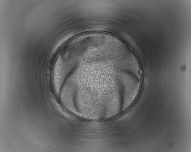 X0000113000827200909171404