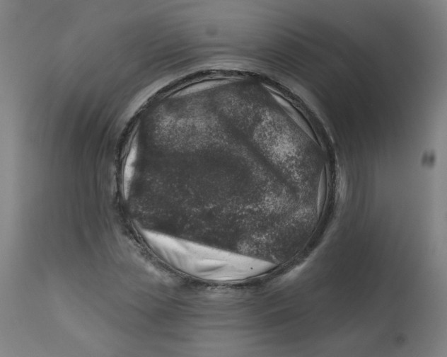 X0000113000829200909171404