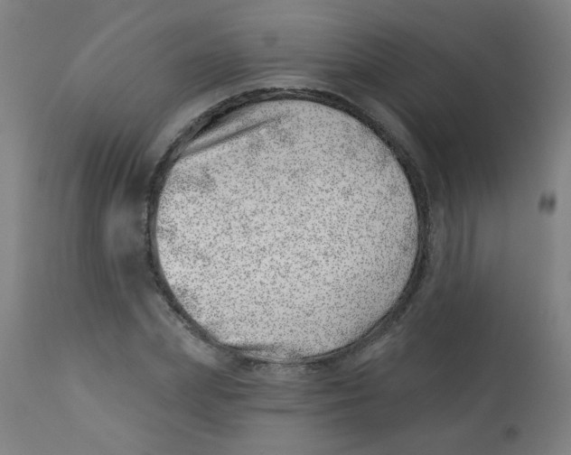 X0000113000831200909171404