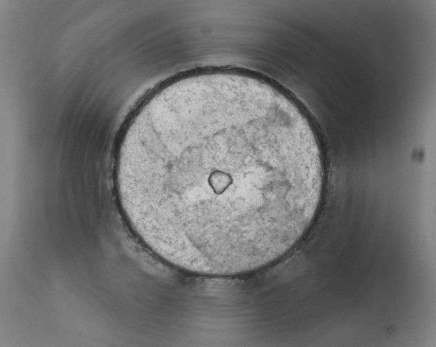 X0000113000832200909171404