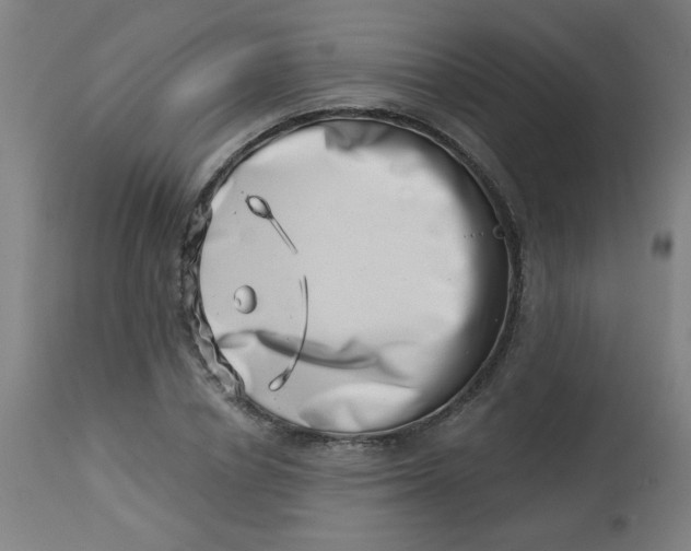 X0000113000834200909171404