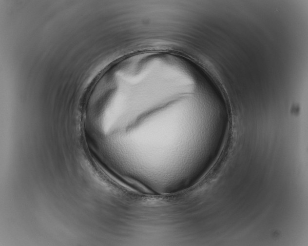 X0000113000835200909171404