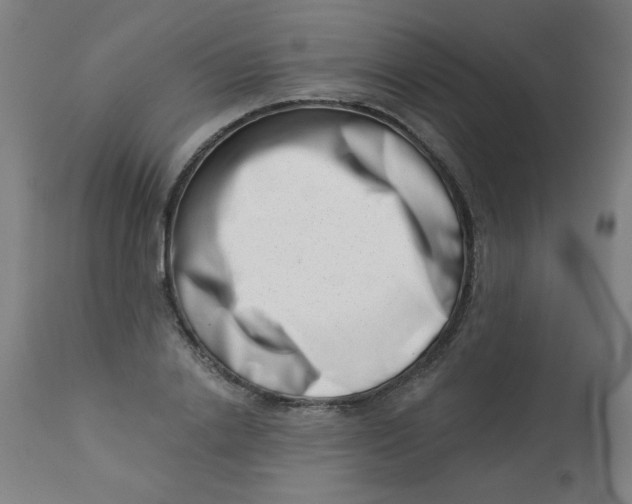 X0000113000838200909171404