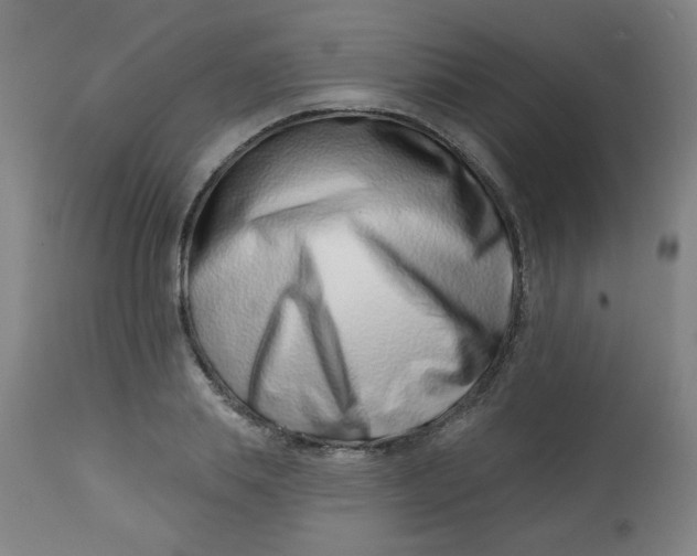 X0000113000839200909171404