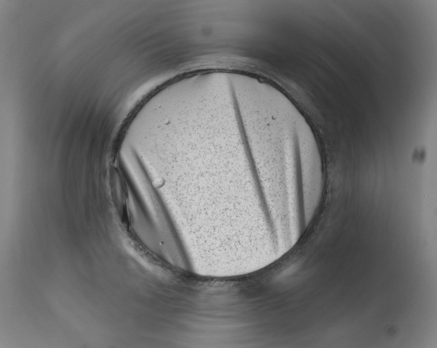 X0000113000846200909171404