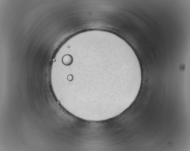 X0000113000848200909171404