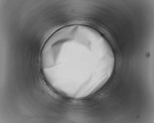 X0000113000852200909171405