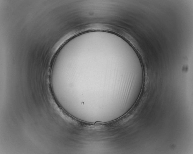 X0000113000853200909171405