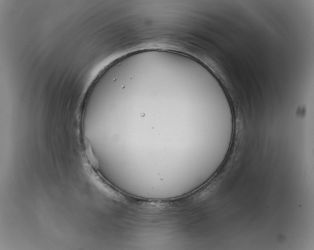 X0000113000854200909171405