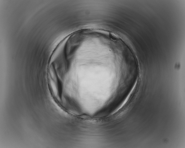 X0000113000855200909171405