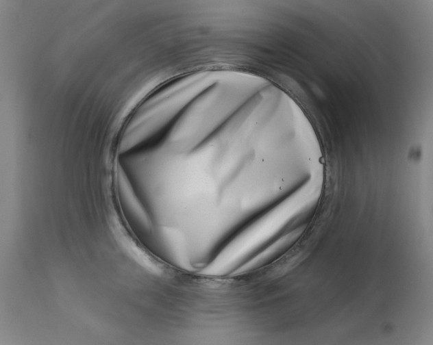 X0000113000859200909171405