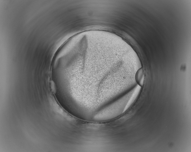 X0000113000860200909171405