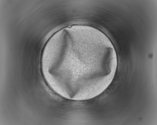 X0000113000861200909171405