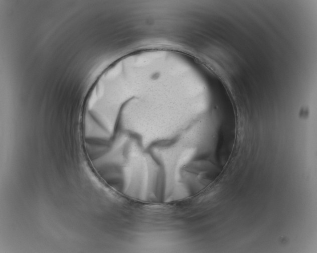 X0000113000863200909171405