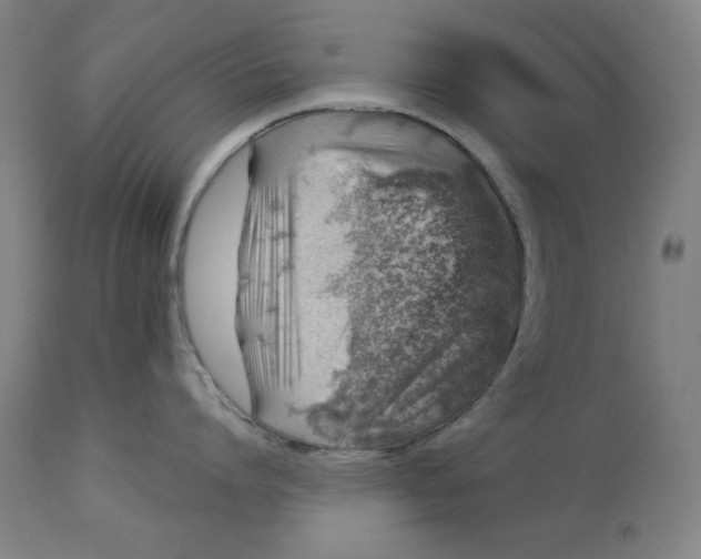 X0000113000864200909171405