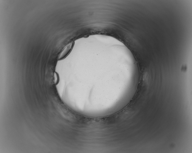 X0000113000868200909171404