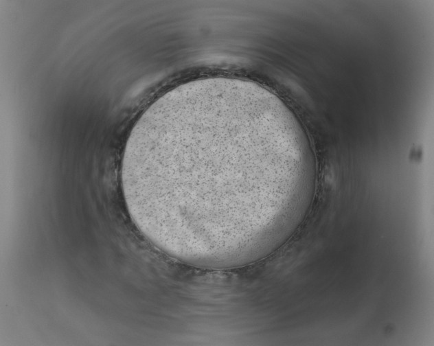 X0000113000869200909171404