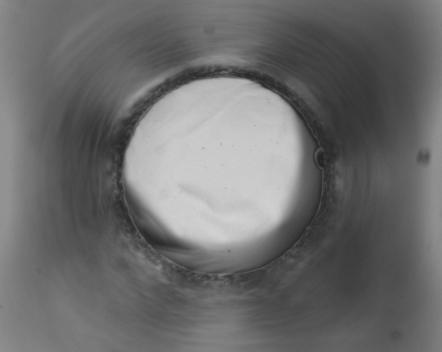 X0000113000872200909171404