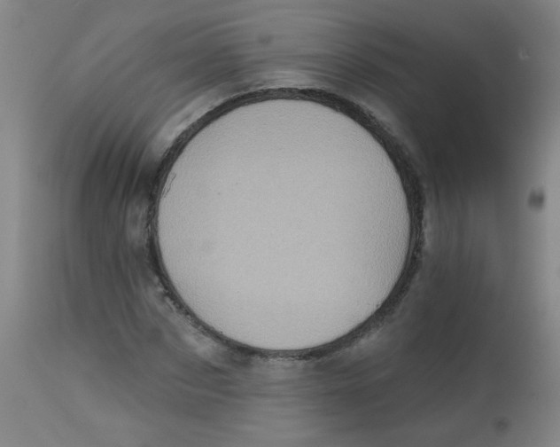 X0000113000873200909171404