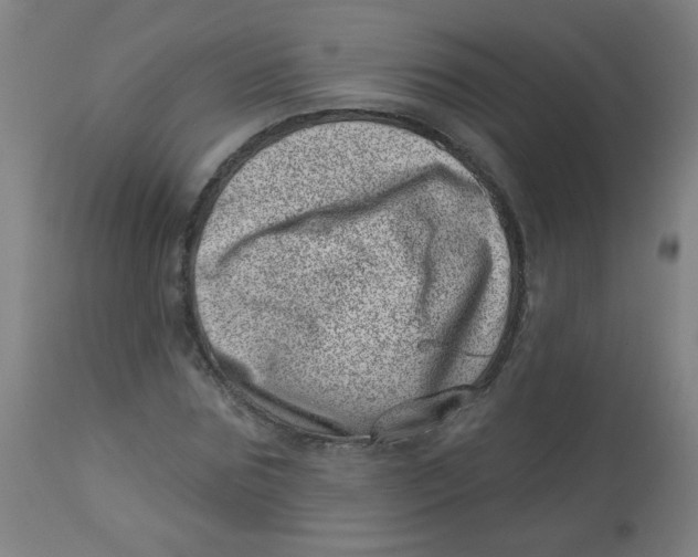 X0000113000875200909171404