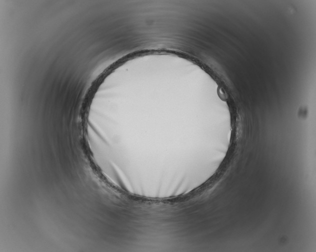 X0000113000876200909171404