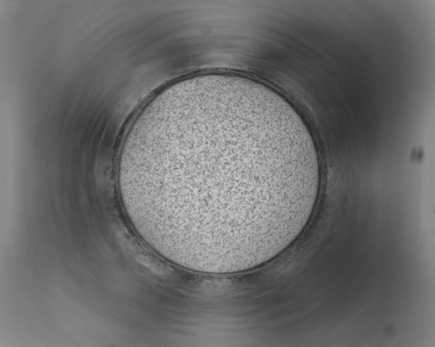 X0000113000882200909171404