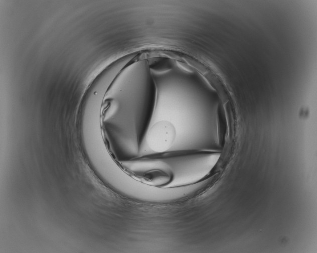 X0000113000885200909171403