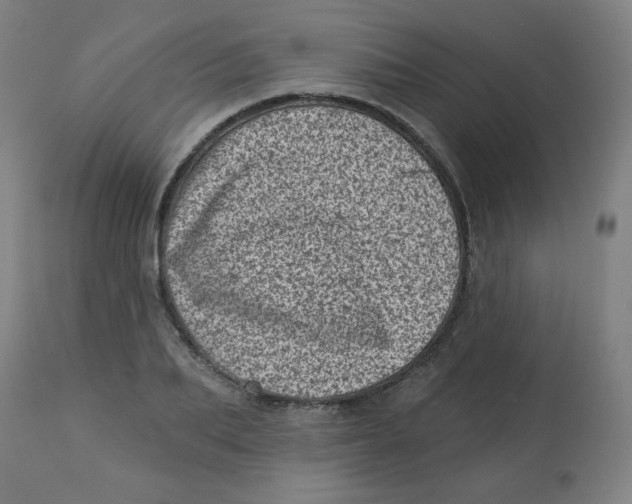 X0000113000887200909171403