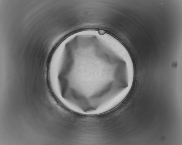 X0000113000888200909171403